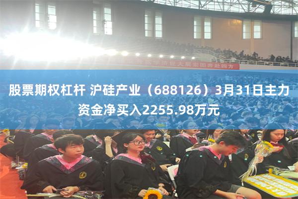 股票期权杠杆 沪硅产业（688126）3月31日主力资金净买入2255.98万元