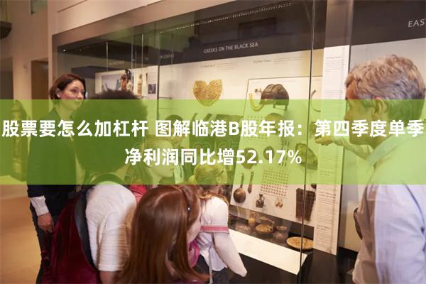 股票要怎么加杠杆 图解临港B股年报：第四季度单季净利润同比增52.17%