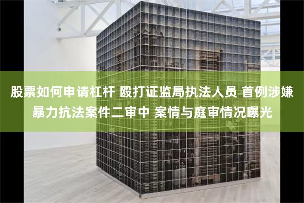 股票如何申请杠杆 殴打证监局执法人员 首例涉嫌暴力抗法案件二审中 案情与庭审情况曝光