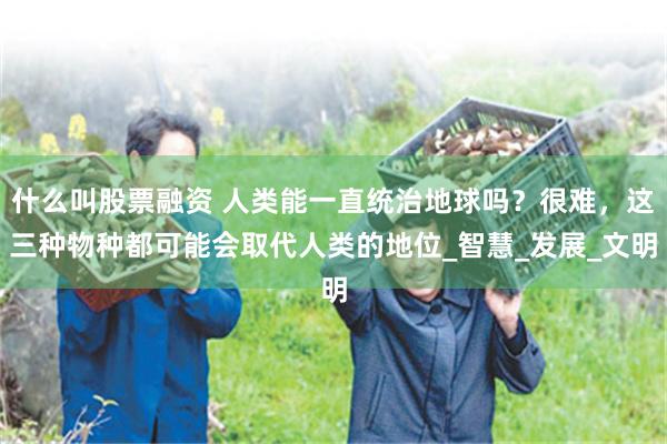 什么叫股票融资 人类能一直统治地球吗？很难，这三种物种都可能会取代人类的地位_智慧_发展_文明