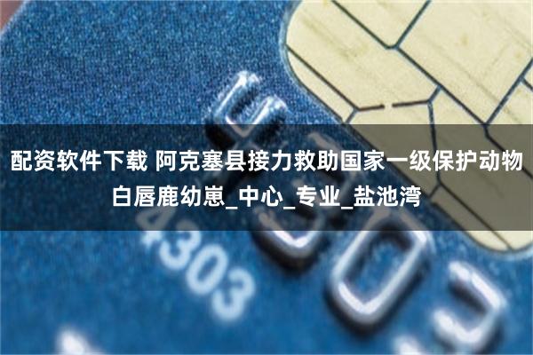 配资软件下载 阿克塞县接力救助国家一级保护动物白唇鹿幼崽_中心_专业_盐池湾