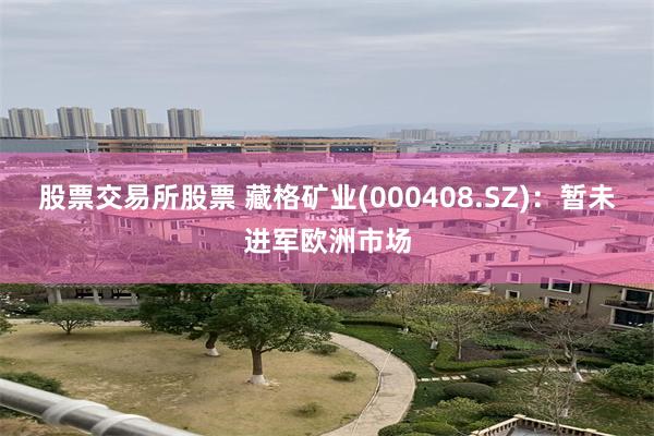 股票交易所股票 藏格矿业(000408.SZ)：暂未进军欧洲市场